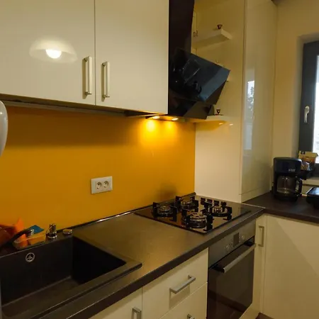 Luxury With Garden Terrace Near National Arena Apartament