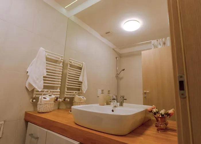 Luxury With Garden Terrace Near National Arena * Bucharest